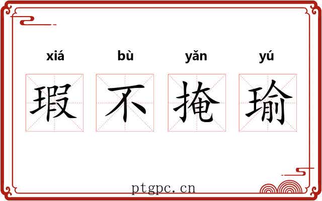 瑕不掩瑜