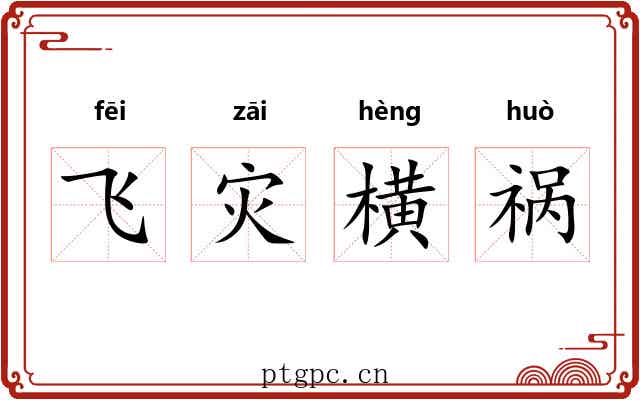 飞灾横祸
