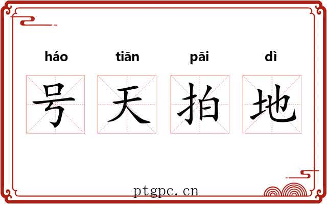 号天拍地