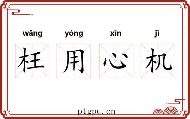 枉用心机