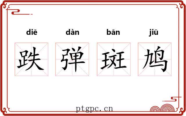 跌弹斑鸠
