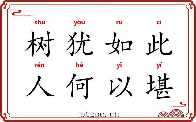 树犹如此，人何以堪