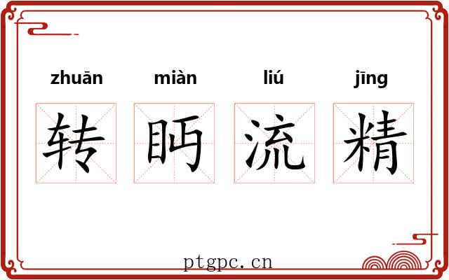 转眄流精