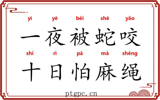 一夜被蛇咬，十日怕麻绳