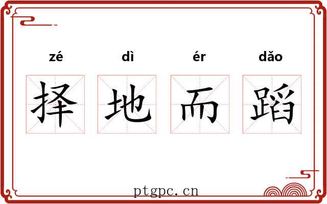 择地而蹈