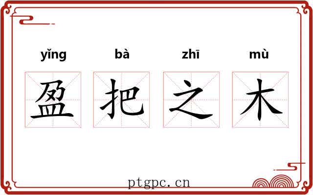 盈把之木