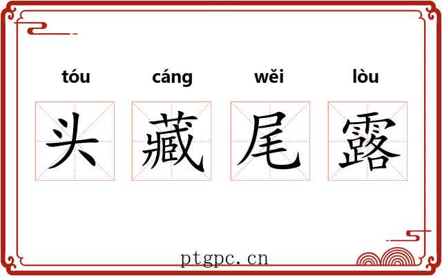 头藏尾露