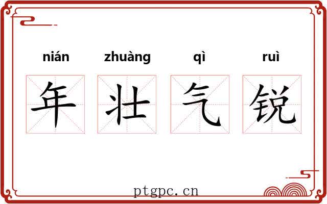 年壮气锐