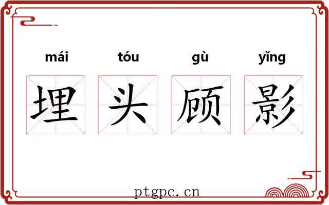 埋头顾影