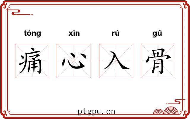 痛心入骨