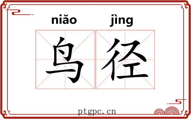 鸟径
