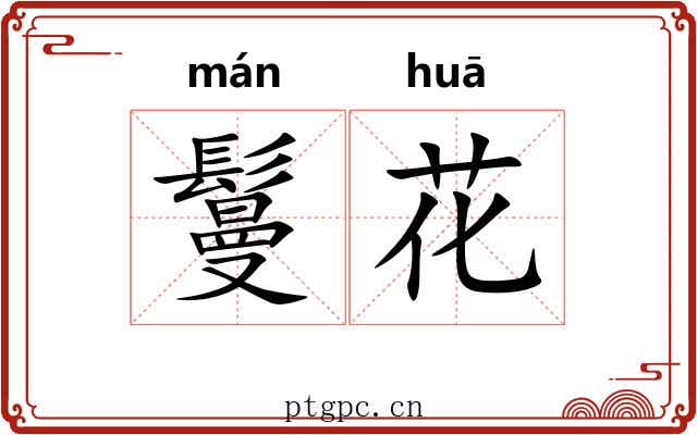 鬘花