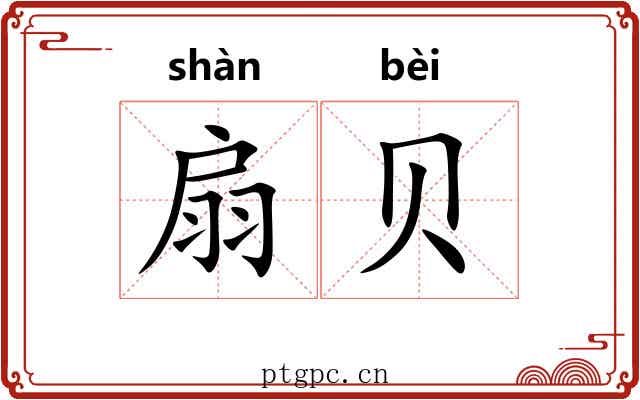 扇贝