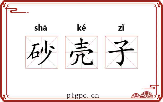 砂壳子