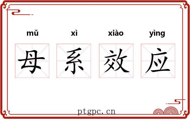 母系效应