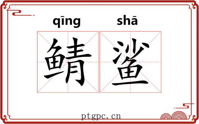 鲭鲨