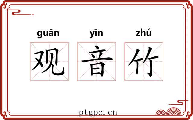 观音竹