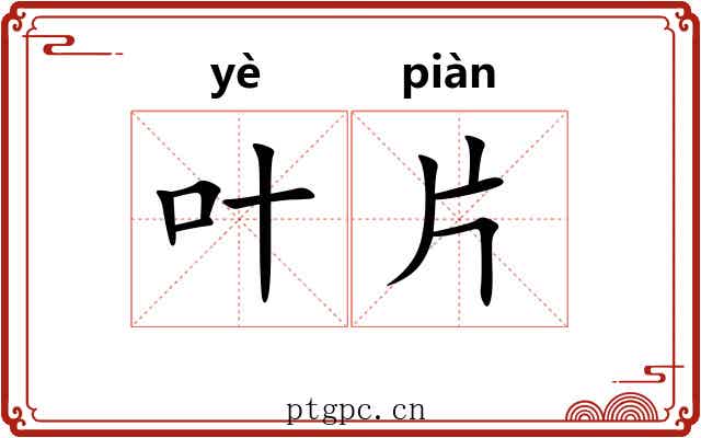 叶片