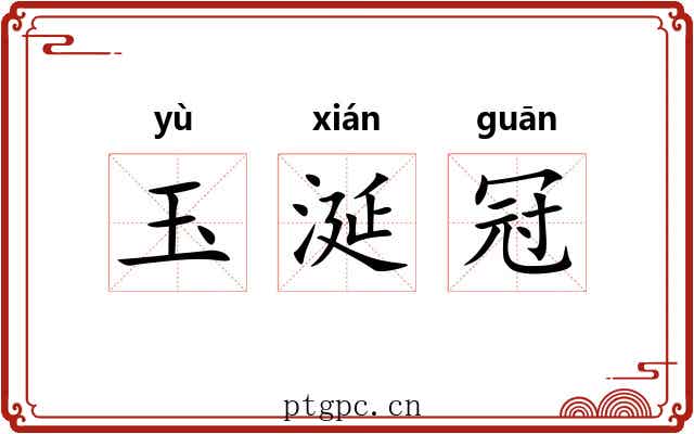 玉涎冠