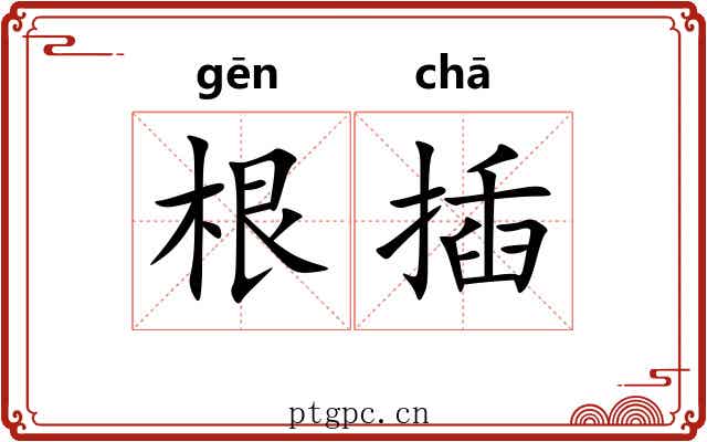 根插