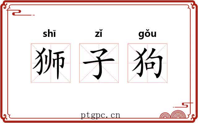 狮子狗 狮子狗