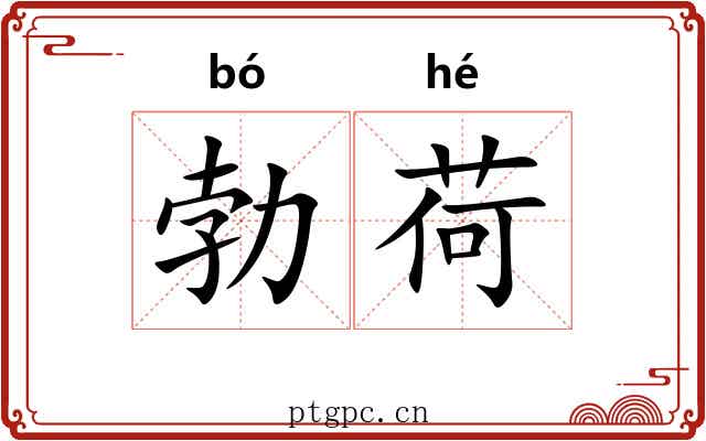 勃荷
