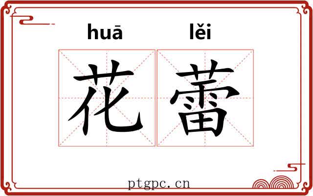 花蕾 花蕾