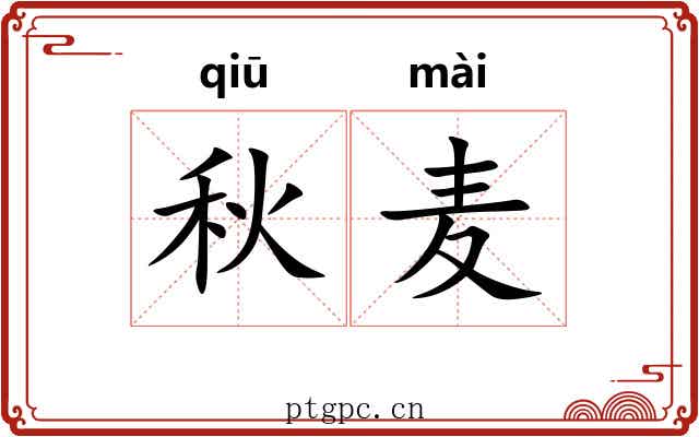 秋麦