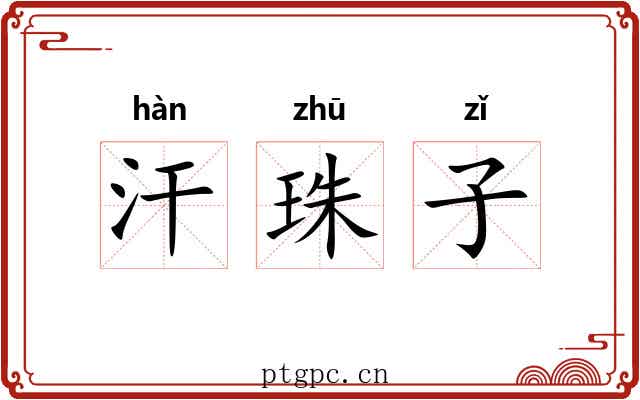 汗珠子 汗珠子