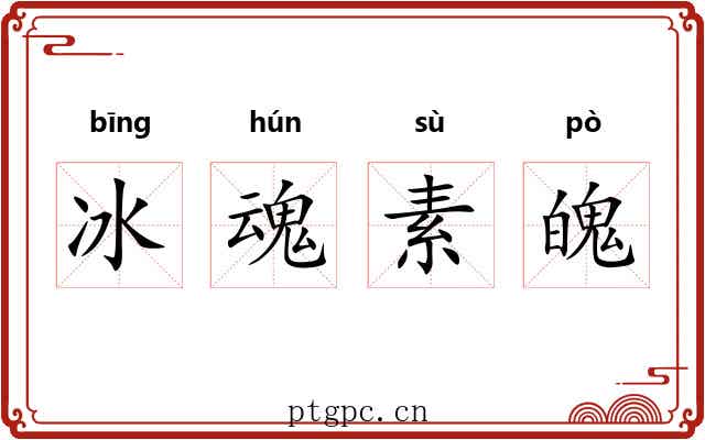 冰魂素魄