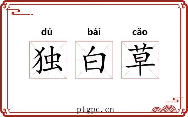 独白草 独白草