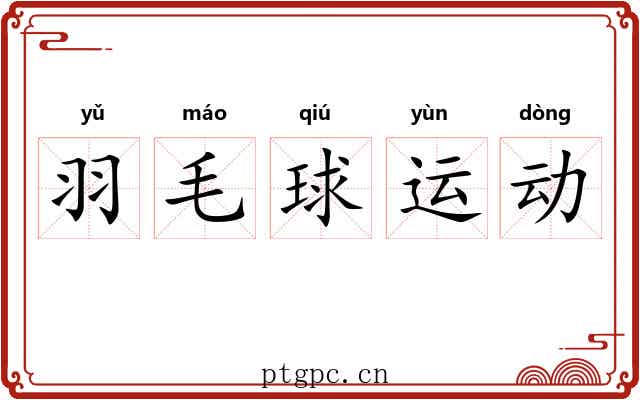 羽毛球运动 羽毛球运动