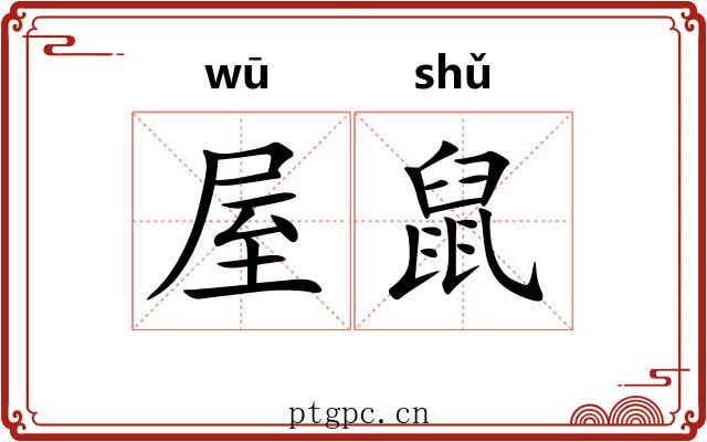 屋鼠