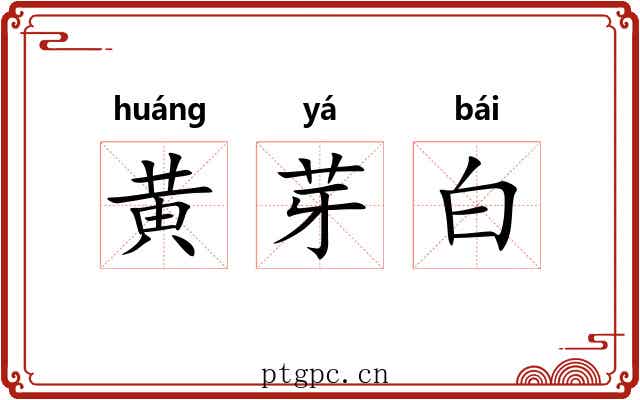 黄芽白