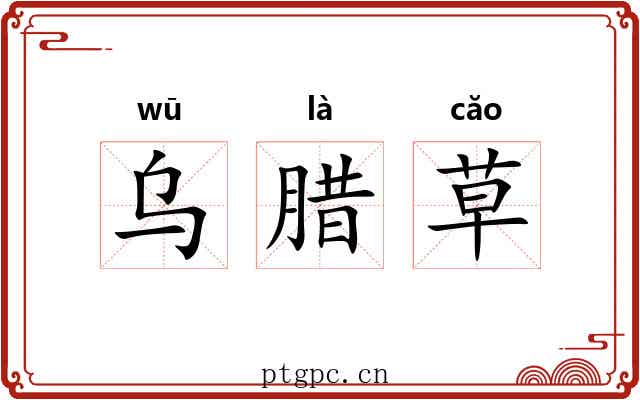 乌腊草