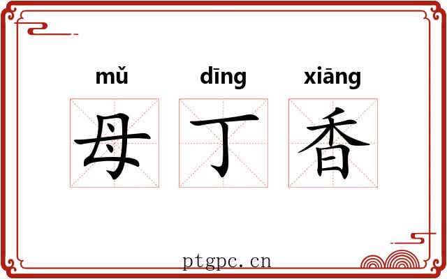 母丁香
