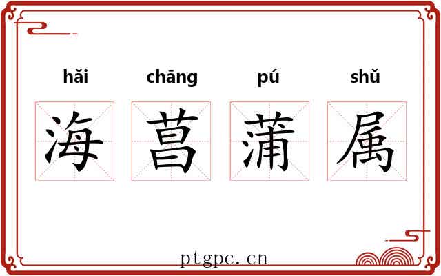 海菖蒲属 海菖蒲属