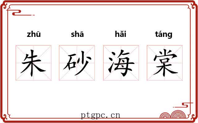 朱砂海棠 朱砂海棠