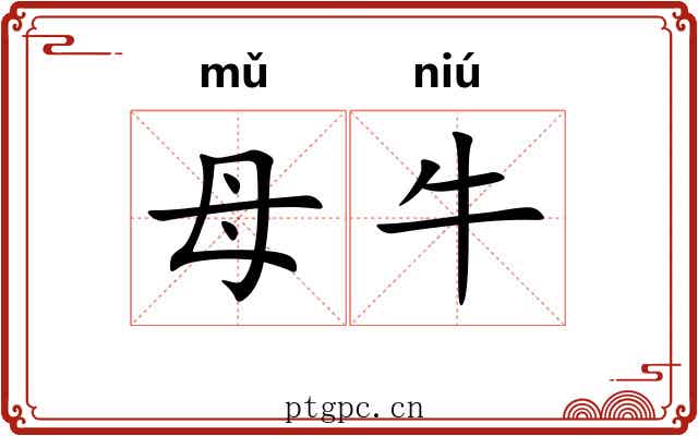 母牛 母牛