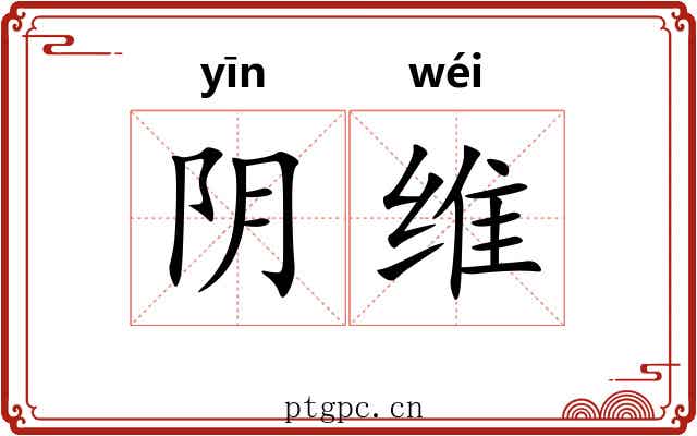 阴维