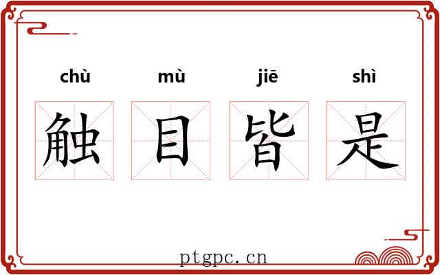 触目皆是