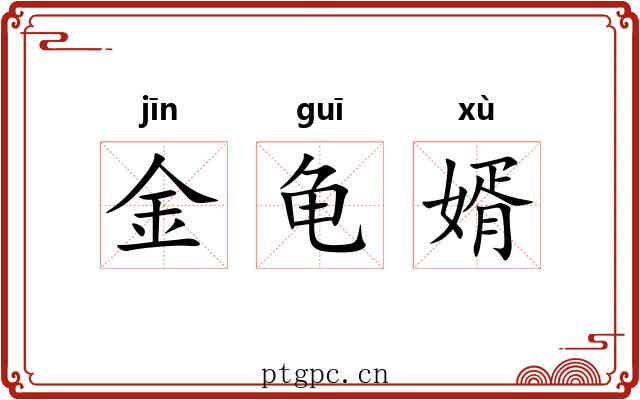 金龟婿 金龟婿