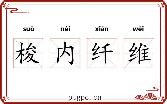 梭内纤维