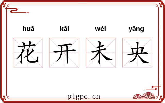 花开未央 花开未央