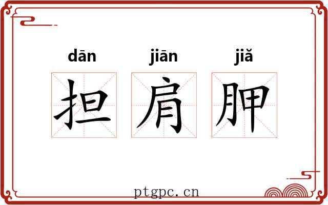 担肩胛 担肩胛