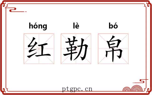 红勒帛 红勒帛