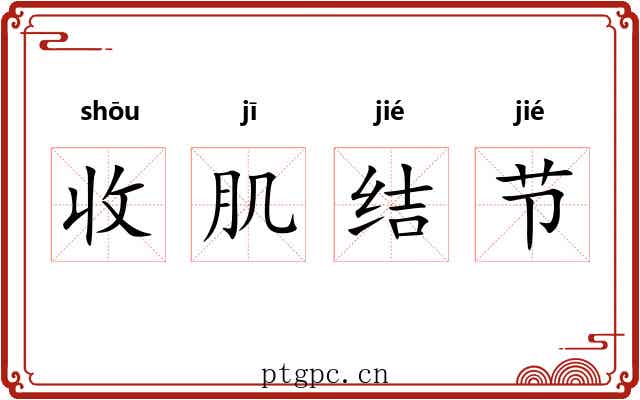 收肌结节