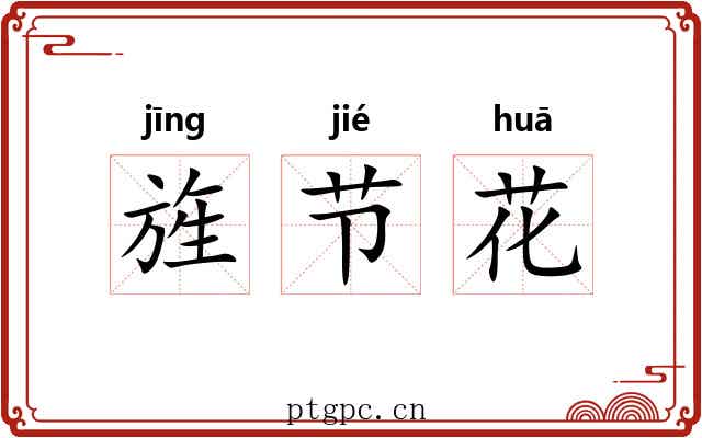 旌节花 旌节花