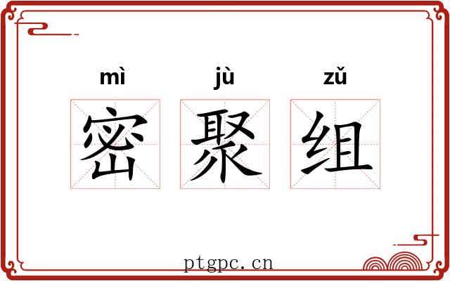密聚组