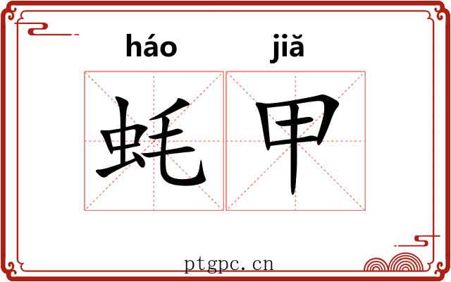 蚝甲 蚝甲